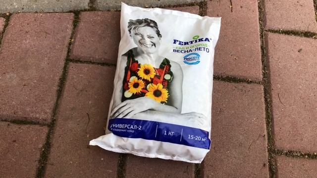 Пересадка бакопы на ПМЖ в кашпо. Что кладу в горшок и какой объём смотреть онлайн