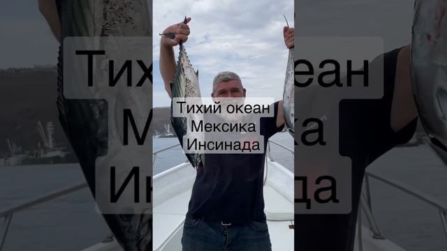 Рыба Тихого океана. Мексика смотреть онлайн