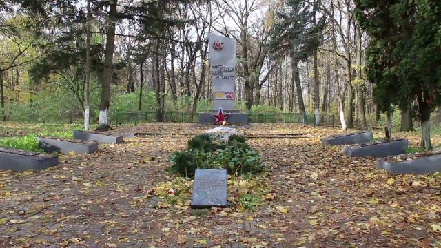 Стрелецкий