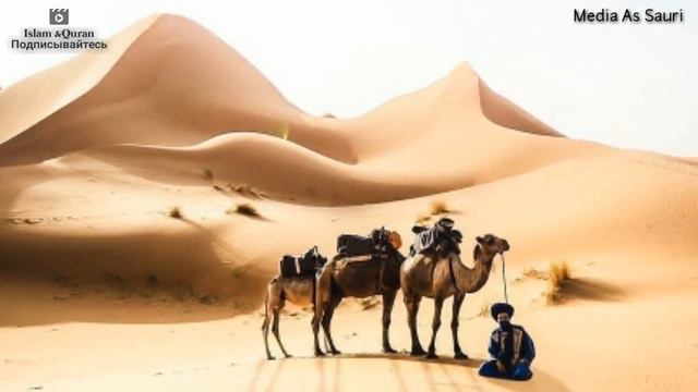 🌴🌴История двух сподвижников🌴🌴Внешность- И Красота Души смотреть онлайн