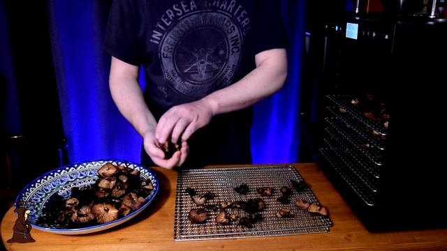 Сушеные грибы Опята в дегидраторе в домашних условиях смотреть онлайн