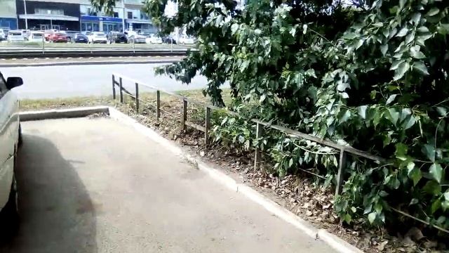 Как проходит мой день 31 мая 2022 Барнаул смотреть онлайн