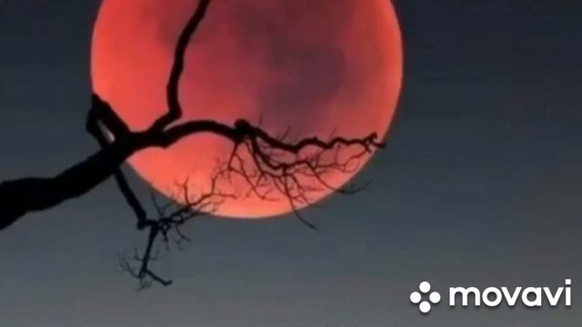 Луна-во всей своей красе.