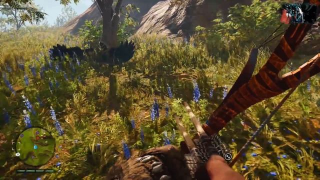 Far Cry Primal | Easiest Ways to Find Feathers & Rare Feathers | Fully Upgraded Quiver | PS4 смотреть онлайн