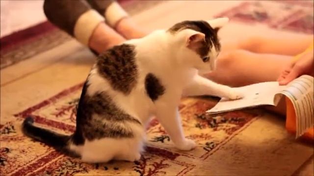 Лиза читает смотреть онлайн