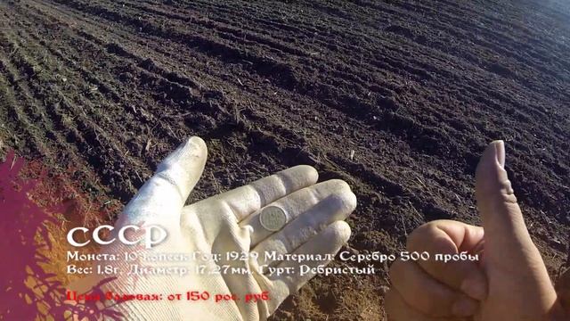 Nokta Legend не перестает удивлять! Коп в Беларуси.