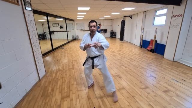 HDKI Headquarter Training - Kumite Intention of Kanku Sho смотреть онлайн