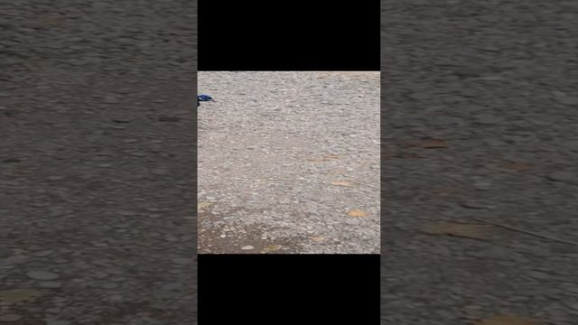 😆😆😆😆😆😆 смотреть онлайн