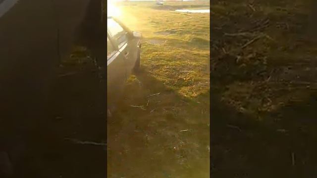 Любов лайки та лабрадора Рудно смотреть онлайн