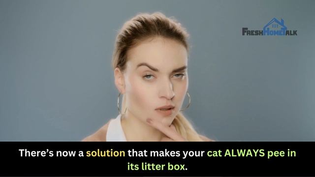 How to Stop Cat from Peeing Everywhere? | No More Accidents: Stop Your Cat from Peeing Everywhere смотреть онлайн
