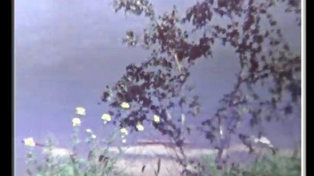 Хроника: г. Усолье-Сибирское, 1980-е годы (2) смотреть онлайн