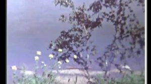 Хроника: г. Усолье-Сибирское, 1980-е годы (2)