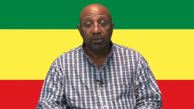 Prof. Berhanu Nega's Message to Ethiopians in the UK смотреть онлайн