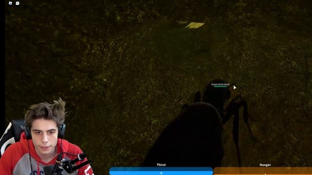 I made my own Ant colony! Ant life V2 [beta testing] смотреть онлайн