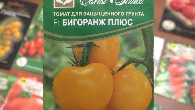 Дачные советы Галины Старосельцевой Декабрь 07-2023 смотреть онлайн