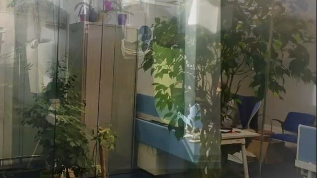 Аренда помещения в бизнес центре Прайм , ул. Жилянская 48-50 смотреть онлайн