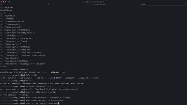 How To Deploy a Fully Automated Git-synced Static Website Using Caddy смотреть онлайн