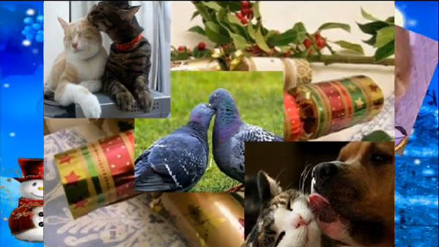 С Новым годом ! От Ларисы и Артёма. смотреть онлайн