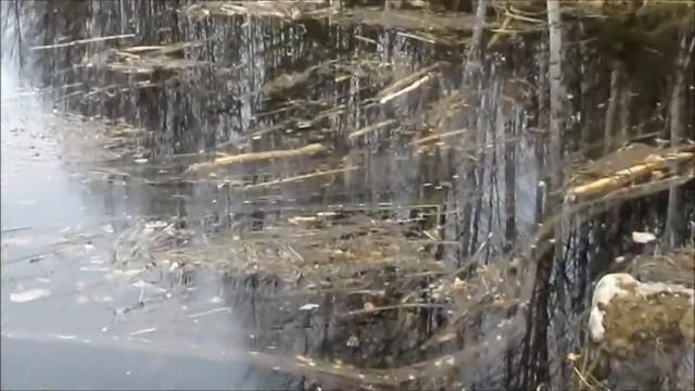 Всё одним днём,Охота Рыбалка,в Карелии. смотреть онлайн