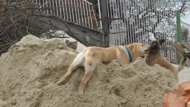 Мото мото застрял