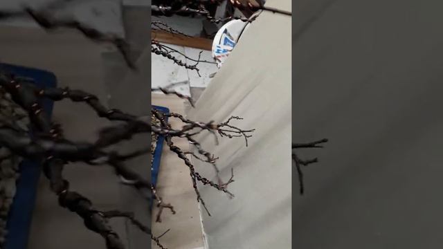 Проволка 2 смотреть онлайн