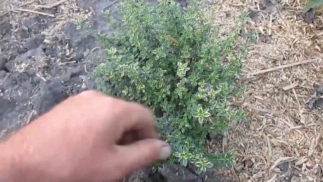 Стройка Плюс Минус