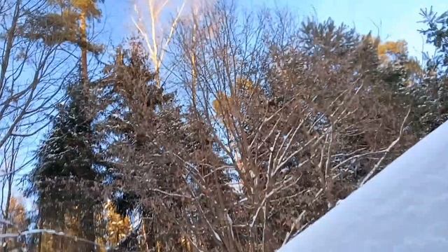 дача, 25.12.2021 смотреть онлайн