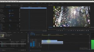 Как Убрать Черный Фон в Видео. Premiere Pro.
