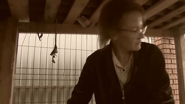 Громкое дело: Понять и простить. Наталья Романенко. смотреть онлайн