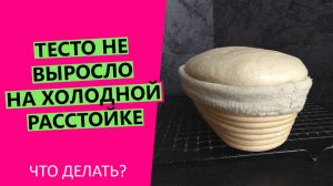 Тесто НЕ выросло ?в холодильнике. Что делать?
