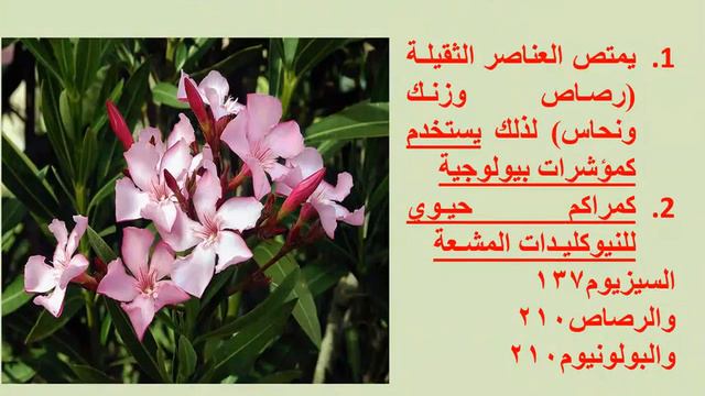 بعض الكائنات الحية الممتصة للأشعاع والمواد الضارة / تقديم الدكتورة تغريد خضر محمد смотреть онлайн