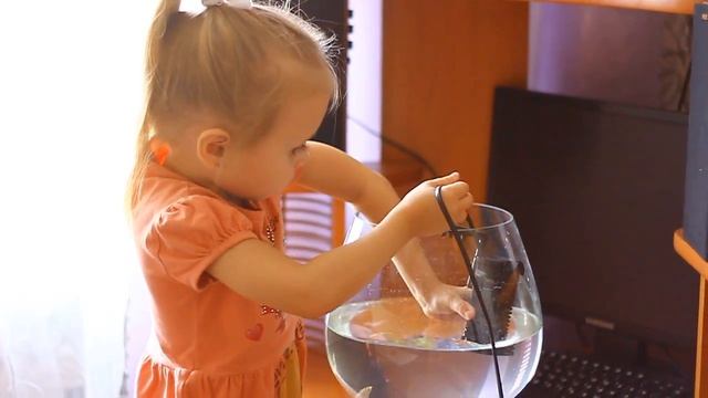 Меняем воду в аквариуме рыбки гуппи мои домашние животные смотреть онлайн