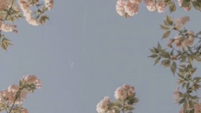 Adekee - Сүйкімді (текст песни) | Сұп сұлу өзі сүйкімді смотреть онлайн