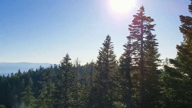 Armik "Dancing Shadows" @ Larch mountain, Oregon смотреть онлайн