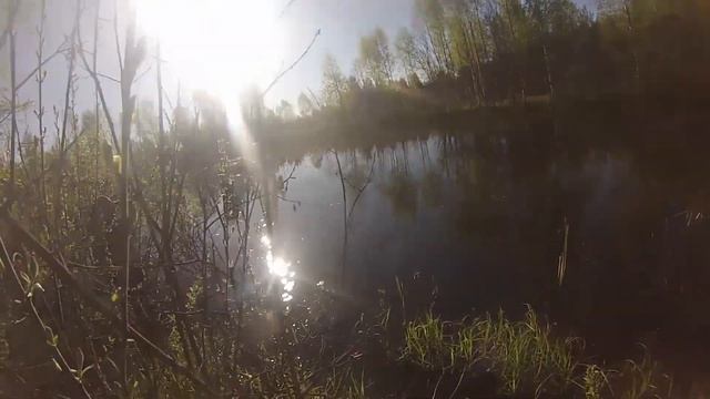Весенняя ловля карася на поплавочную удочку Рыбалка на пруду АБЗ 2020 смотреть онлайн