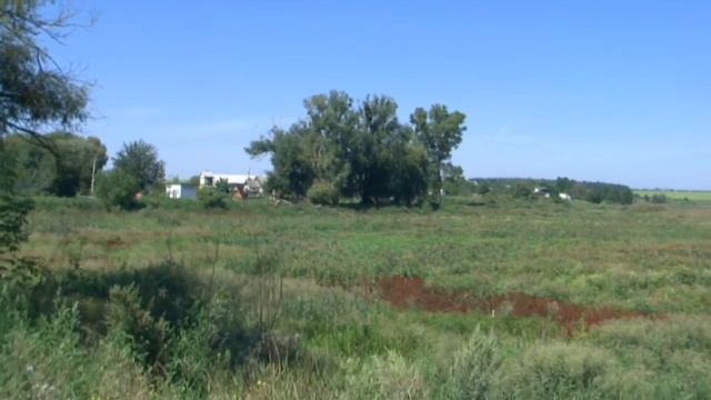 15 августа 2017г. Озеро в Лупском сейчас! Важно! смотреть онлайн