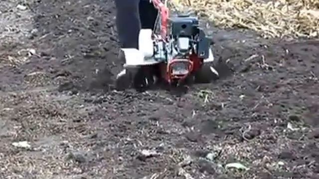 Мотоблок ЗиД Фаворит с фрезой смотреть онлайн