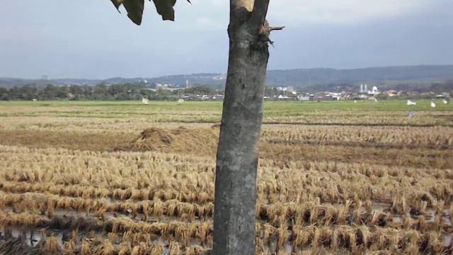 Hasil video Fujifilm S4800 Setting HD смотреть онлайн