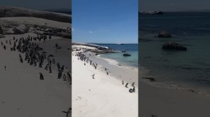 5 причин, чтобы стать моряком! / Работа в море, ее плюсы и минусы / Кто такие - современные моряки?