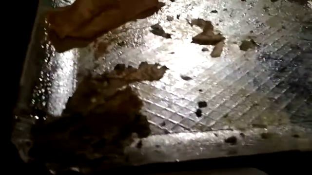 Дошли до отеля mass paradise Иордания 13 км пешком смотреть онлайн