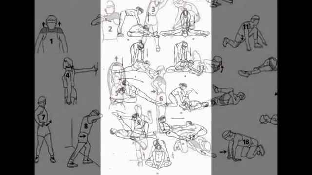 Упражнения для растяжки на шпагат и на спину смотреть онлайн