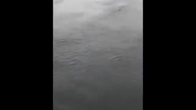 На рыбалке бывет всякое / Fishing is all смотреть онлайн