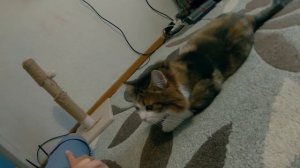 КОРОЧЕ ГОВОРЯ, ВОЙНА С СЕСТРОЙ [От первого лица] БРАТ VS СЕСТРА