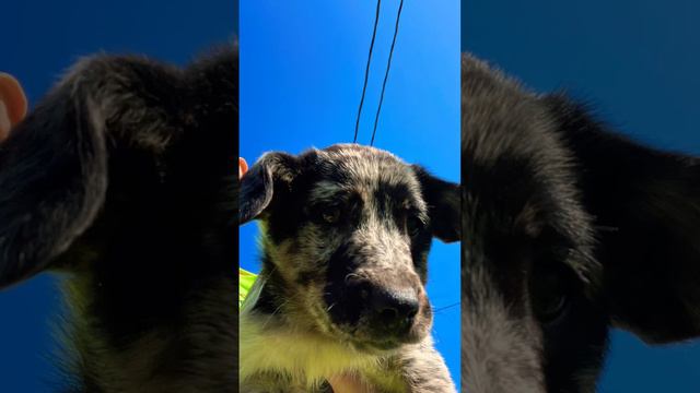 Born At 5 O’clock On Christmas Eve Morning