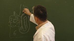 Схема гастроэнтеростомии