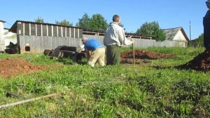 Новый проект. Делаем овощную яму.