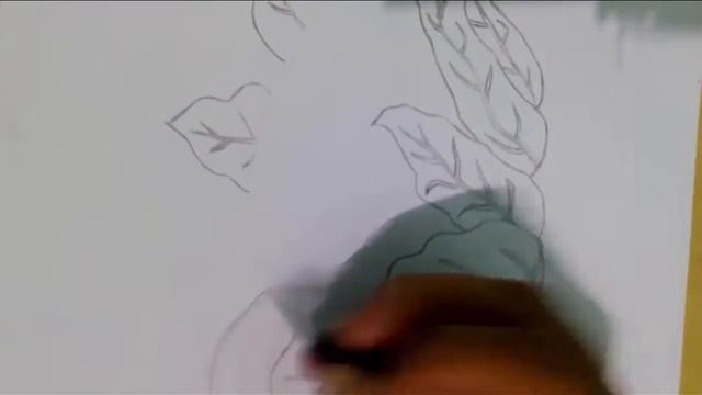 рисунок цветной капусты - рисунок овощи смотреть онлайн