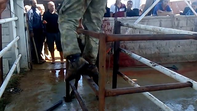 MUSTAFA KAYA KURBAN KESİMİ 2014