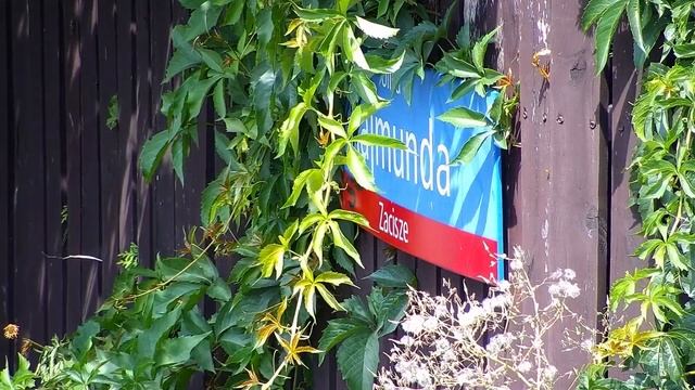 DS-2DE5232IW- AE(S5) PTZ 2Mpx HIKVISION - CAMERA LƯU GIA TÂY NINH - 0933245117 смотреть онлайн