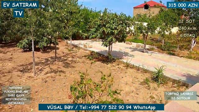 12 SOTDA BAĞ EVİ SATILIR NOVXANIDA /Недвижимость в Баку / EV SATIRAM TV/ bag evleri смотреть онлайн